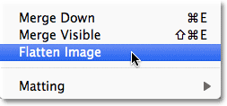 Photoshop Flatten Image command.