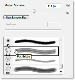 Select the 111-pixel Flat Bristle brush from the list