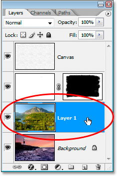 The Layers panel