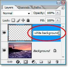 Renaming 'Layer 1' to 'white background'