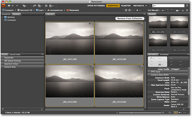 Selecting multiple images in Adobe Bridge CS4.