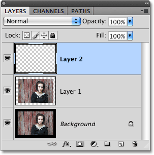 تمت إضافة طبقة فارغة جديدة في لوحة Layers.