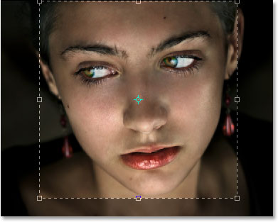 صورة البرنامج التعليمي Adobe Photoshop