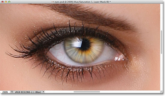 The image after increasing the color saturation in the iris.