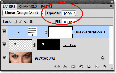 The layer Opacity option in the Layers panel.