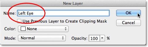 Naming a layer in the New Layer dialog box.