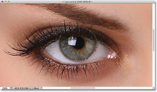 eyes zoom iris photoshop radial elliptical selection drawing eyelid effect effects select