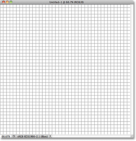 The grid displayed in the document in Photoshop.