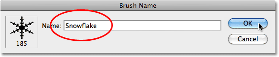 Naming the snowflake brush in Photoshop.