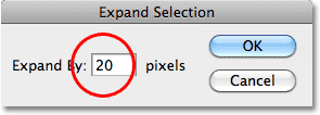 The Expand Selection dialog box in Photoshop.