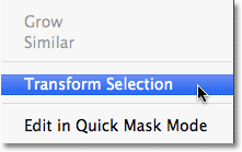 أمر Transform Selection في Photoshop.