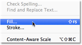 Photoshop Fill command.