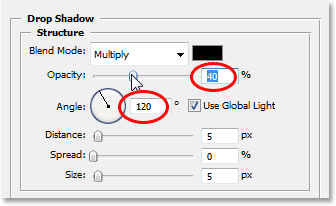 The Drop Shadow options.