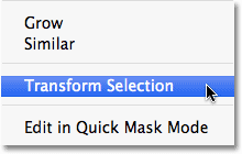 Go to Select > Transform Selection.