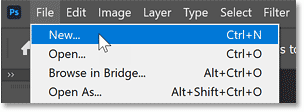 Go to the File menu and choose New.