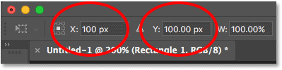 The X and Y coordinates for the Free Transform Path command