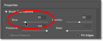 Lowering the brush size in the Liquify filter in Photoshop