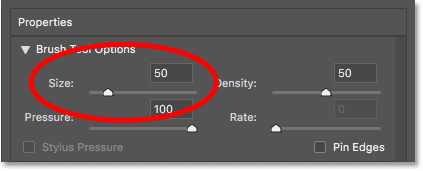 Increasing the Forward Warp Tool's brush size to 50 pixels in the Liquify filter