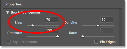 Increasing the Forward Warp Tool brush size to 70 pixels in the Liquify filter in Photoshop