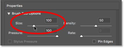 Setting the Liquify filter brush size to 100 pixels