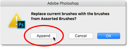 Appending the Assorted Brushes set to the default brushes in Photoshop. 