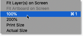 Selecting the 100 percent zoom option in Photoshop's View menu