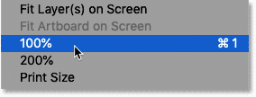 Choosing the 100 percent view mode from the View menu in Photoshop