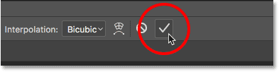 Clicking the checkmark in the Options Bar. 