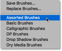 Choosing the Assorte Brushes set from the menu. 