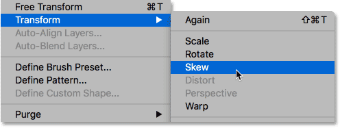 Choosing Skew from the Edit menu. 