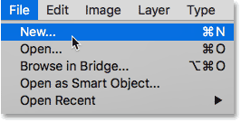 Selecting the New command from under the File menu. 