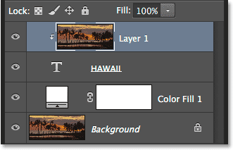 تعرض لوحة Layers Layer 1 مقطوعة إلى طبقة Type.