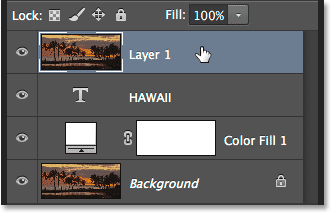 النقر فوق Layer 1 لتحديده في لوحة Layers.