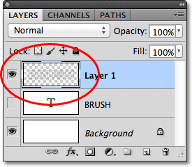 Clicking in an empty area in the Paths panel to hide the path in the document. Image © 2011 Photoshop Essentials.com