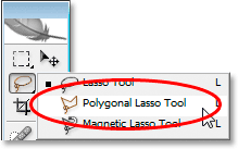 تحديد أداة Polygonal Lasso من لوحة الأدوات.